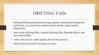 DRIFTING FADs
• drifting /floating objects(trees, logs, planks, abandoned fishing nets
and buoys, or around live animals-whale sharks, large marine
Mammals).
• man-made drifting FADs , natural drifting FADs, floating objects and
live animal FADs.
• with radio buoys- radio signals-pre-set frequencies
• fitted with transmitter beacons or sonar
 