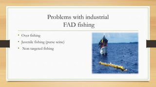 Problems with industrial
FAD fishing
• Over fishing
• Juvenile fishing (purse seine)
• Non targeted fishing
 