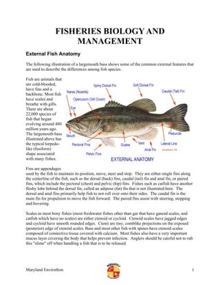 FISHERIES BIOLOGY AND
MANAGEMENT
External Fish Anatomy
The following illustration of a largemouth bass shows some of the common external features that
are used to describe the differences among fish species.
Fish are animals that
are cold-blooded,
have fins and a
backbone. Most fish
have scales and
breathe with gills.
There are about
22,000 species of
fish that began
evolving around 480
million years ago.
The largemouth b
illustrated above
the typical torp
like (fusiform)
shape associated
with many fishes
ass
has
edo-
.
Fins are appendages
gused by the fish to maintain its position, move, steer and stop. They are either single fins alon
the centerline of the fish, such as the dorsal (back) fins, caudal (tail) fin and anal fin, or paired
fins, which include the pectoral (chest) and pelvic (hip) fins. Fishes such as catfish have another
fleshy lobe behind the dorsal fin, called an adipose (fat) fin that is not illustrated here. The
dorsal and anal fins primarily help fish to not roll over onto their sides. The caudal fin is the
main fin for propulsion to move the fish forward. The paired fins assist with steering, stopping
and hovering.
Scales in most bony fishes (most freshwater fishes other than gar that have ganoid scales, and
catfish which have no scales) are either ctenoid or cycloid. Ctenoid scales have jagged edges
and cycloid have smooth rounded edges. Ctenii are tiny, comblike projections on the exposed
(posterior) edge of ctenoid scales. Bass and most other fish with spines have ctenoid scales
composed of connective tissue covered with calcium. Most fishes also have a very important
mucus layer covering the body that helps prevent infection. Anglers should be careful not to rub
this "slime" off when handling a fish that is to be released.
Maryland Envirothon 1
 