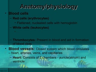 Anatomy/physiologyAnatomy/physiology
• Blood cells
– Red cells (erythrocytes)
• Flattened, nucleated cells with hemoglobin
– White cells (leukocytes)
•
– Thrombocytes: Present in blood and aid in formation
of blood clots
• Blood vessels: Closed system which blood circulates
– heart, arteries, veins, and capillaries
– Heart: Consists of 2 chambers - auricle(atrium) and
ventricle
 