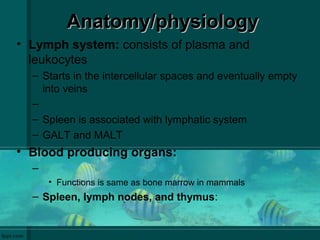 Anatomy/physiologyAnatomy/physiology
• Lymph system: consists of plasma and
leukocytes
– Starts in the intercellular spaces and eventually empty
into veins
–
– Spleen is associated with lymphatic system
– GALT and MALT
• Blood producing organs:
–
• Functions is same as bone marrow in mammals
– Spleen, lymph nodes, and thymus:
 