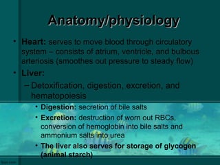 Anatomy/physiologyAnatomy/physiology
• Heart: serves to move blood through circulatory
system – consists of atrium, ventricle, and bulbous
arteriosis (smoothes out pressure to steady flow)
• Liver:
– Detoxification, digestion, excretion, and
hematopoiesis
• Digestion: secretion of bile salts
• Excretion: destruction of worn out RBCs,
conversion of hemoglobin into bile salts and
ammonium salts into urea
• The liver also serves for storage of glycogen
(animal starch)
 