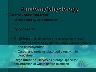 Anatomy/physiologyAnatomy/physiology
• Gastro-intestinal tract:
– Cardiac and pyloric stomach:
•
– Pyloric caeca:
– Small intestine: digestion and absorption of food
• Enzymes secreted by glands – break down proteins
and carbohydrates
• Carbs. and proteins absorbed directly in to
bloodstream
– Large intestine: serves as storage space for
accumulation of waste before excretion
 