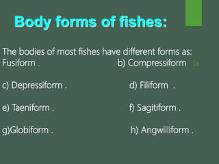 Body forms of fishes:
The bodies of most fishes have different forms as:
(aFusiform . b) Compressiform
c) Depressiform . d) Filiform .
e) Taeniform . f) Sagitiform .
g)Globiform . h) Angwilliform .
 