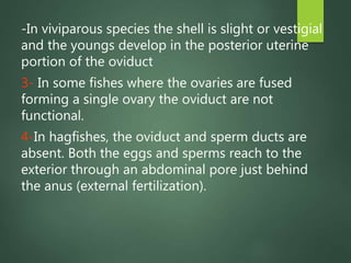 Veterinary Anatomy of Internal Organs of the Fishes | PPT