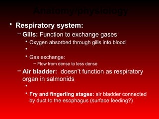Fish Anatomy review for fish disease.pptx
