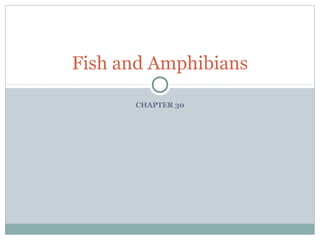 Fish and Amphibians

      CHAPTER 30
 