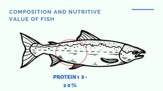 COMPOSITION AND NUTRITIVE
VALUE OF FISH
PROTEIN1 8 -
2 0 %
 