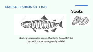 MARKET FORMS OF FISH
Steaks are cross section slices cut from large, dressed fish; the
cross section of backbone generally included.
Steaks
 