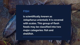 Fish and Fish Cookery.pdf