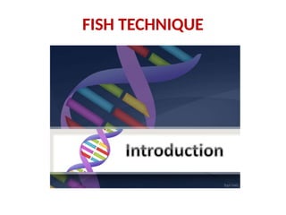 Fish Method Cross Profuct Fluorescent In Situ Hybridization and Genome In Situ Hybridization.pptx