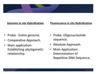 Fluorescent In Situ Hybridization and Genome In Situ Hybridization.pptx