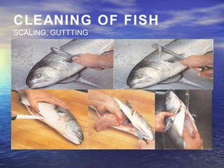 CLEANING OF FISH
SCALING, GUTTTING
 