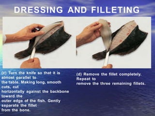 DRESSING AND FILLETING
(c) Turn the knife so that it is
almost parallel to
the table. Making long, smooth
cuts, cut
horizontally against the backbone
toward the
outer edge of the fish. Gently
separate the fillet
from the bone.
(d) Remove the fillet completely.
Repeat to
remove the three remaining fillets.
 
