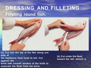 DRESSING AND FILLETING
Filleting round fish.
(a) Cut into the top of the fish along one
side of
the backbone from head to tail. Cut
against the
bone with smooth strokes of the knife to
separate the flesh from the bone.
(b) Cut under the flesh
toward the tail; detach it.
 