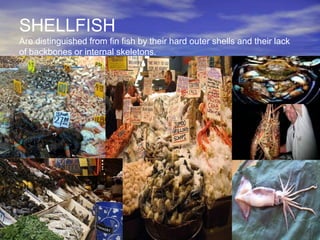 SHELLFISH
Are distinguished from fin fish by their hard outer shells and their lack
of backbones or internal skeletons.
 