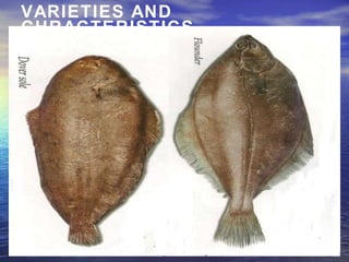 VARIETIES AND
CHRACTERISTICS
 