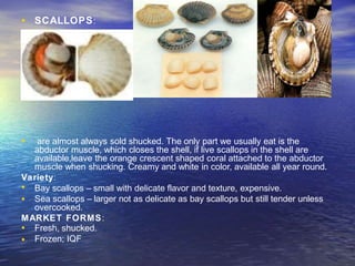 • SCALLOPS:
• are almost always sold shucked. The only part we usually eat is the
abductor muscle, which closes the shell, if live scallops in the shell are
available,leave the orange crescent shaped coral attached to the abductor
muscle when shucking. Creamy and white in color, available all year round.
Variety:
•
•
Bay scallops – small with delicate flavor and texture, expensive.
Sea scallops – larger not as delicate as bay scallops but still tender unless
overcooked.
MARKET FORMS:
•
•
Fresh, shucked.
Frozen; IQF
 