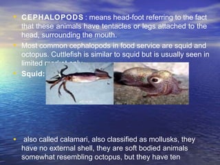 • CEPHALOPODS : means head-foot referring to the fact
that these animals have tentacles or legs attached to the
head, surrounding the mouth.
• Most common cephalopods in food service are squid and
octopus. Cuttlefish is similar to squid but is usually seen in
limited market only.
• Squid:
• also called calamari, also classified as mollusks, they
have no external shell, they are soft bodied animals
somewhat resembling octopus, but they have ten
 