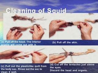 Cleaning of Squid
(a) Pull off the head. The interior
organs will come out with it.
(b) Pull off the skin.
(c) Pull out the plasticlike quill from
the body sac. Rinse out the sac to
clean it well.
(d) Cut off the tentacles just above
the eyes.
Discard the head and organs.
 