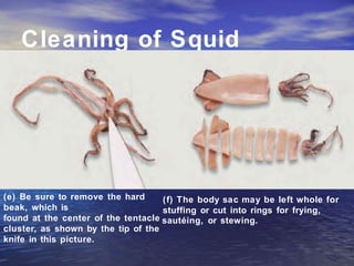 Cleaning of Squid
(e) Be sure to remove the hard
beak, which is
(f) The body sac may be left whole for
stuffing or cut into rings for frying,
found at the center of the tentacle sautéing, or stewing.
cluster, as shown by the tip of the
knife in this picture.
 