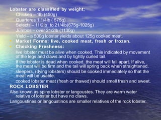 Lobster are classified by weight;
Chicken – 1lb (450g)
Quarteres 1 1/4lb ( 575g)
Selects – 11/2lb to 21/4lb(675g-1025g)
Jumbos – over 21/2lb (1130g)
Yield – a 500g lobster yields about 125g cooked meat.
•
•
Market Forms: live, cooked meat, fresh or frozen.
Checking Freshness:
live lobster must be alive when cooked. This indicated by movement
of the legs and claws and by tightly curled tail.
If the lobster is dead when cooked, the meat will fall apart. If alive,
the meat will be firm and the tail will spring back when straightened.
sleepers, (dying lobsters) should be cooked immediately so that the
meat will be usable.
cooked lobster meat (fresh or thawed) should smell fresh and sweet.
ROCK LOBSTER
Also known as spiny lobster or langoustes. They are warm water
relative of lobster but have no claws.
Langoustines or langoustinos are smaller relatives of the rock lobster.
 