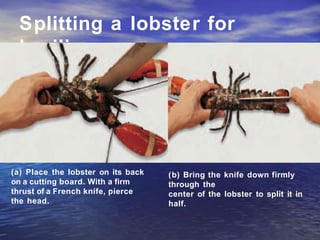 Splitting a lobster for
broiling.
(a) Place the lobster on its back
on a cutting board. With a firm
thrust of a French knife, pierce
the head.
(b) Bring the knife down firmly
through the
center of the lobster to split it in
half.
 