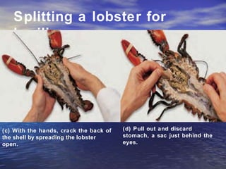 Splitting a lobster for
broiling
(c) With the hands, crack the back of
the shell by spreading the lobster
open.
(d) Pull out and discard
stomach, a sac just behind the
eyes.
 