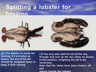 Splitting a lobster for
broiling
(g) The lobster is ready for
broiling. If it is broiled as
shown, the end of the tail
should be weighted down to
keep it from curling.
( h) You may also split the tail all the way
through and curl up the two sides as shown.
In this position, weighting the tail is not
necessary.
Note that the claws have been broken off
and
 