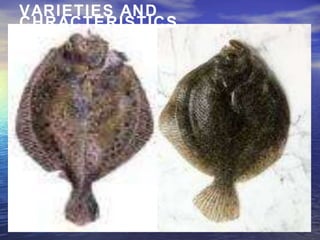 VARIETIES AND
CHRACTERISTICS
 