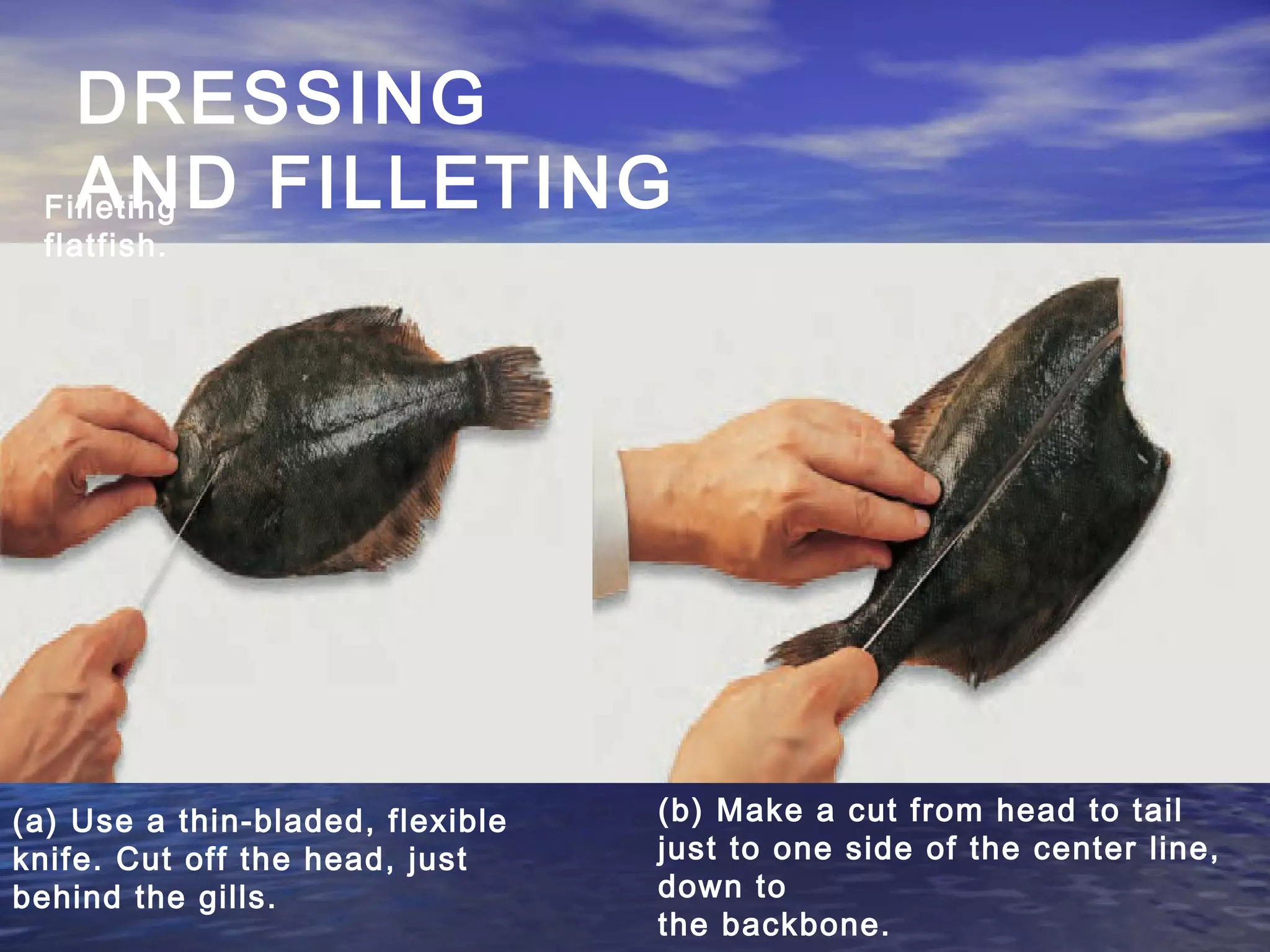 Fish and shellfish | PPT