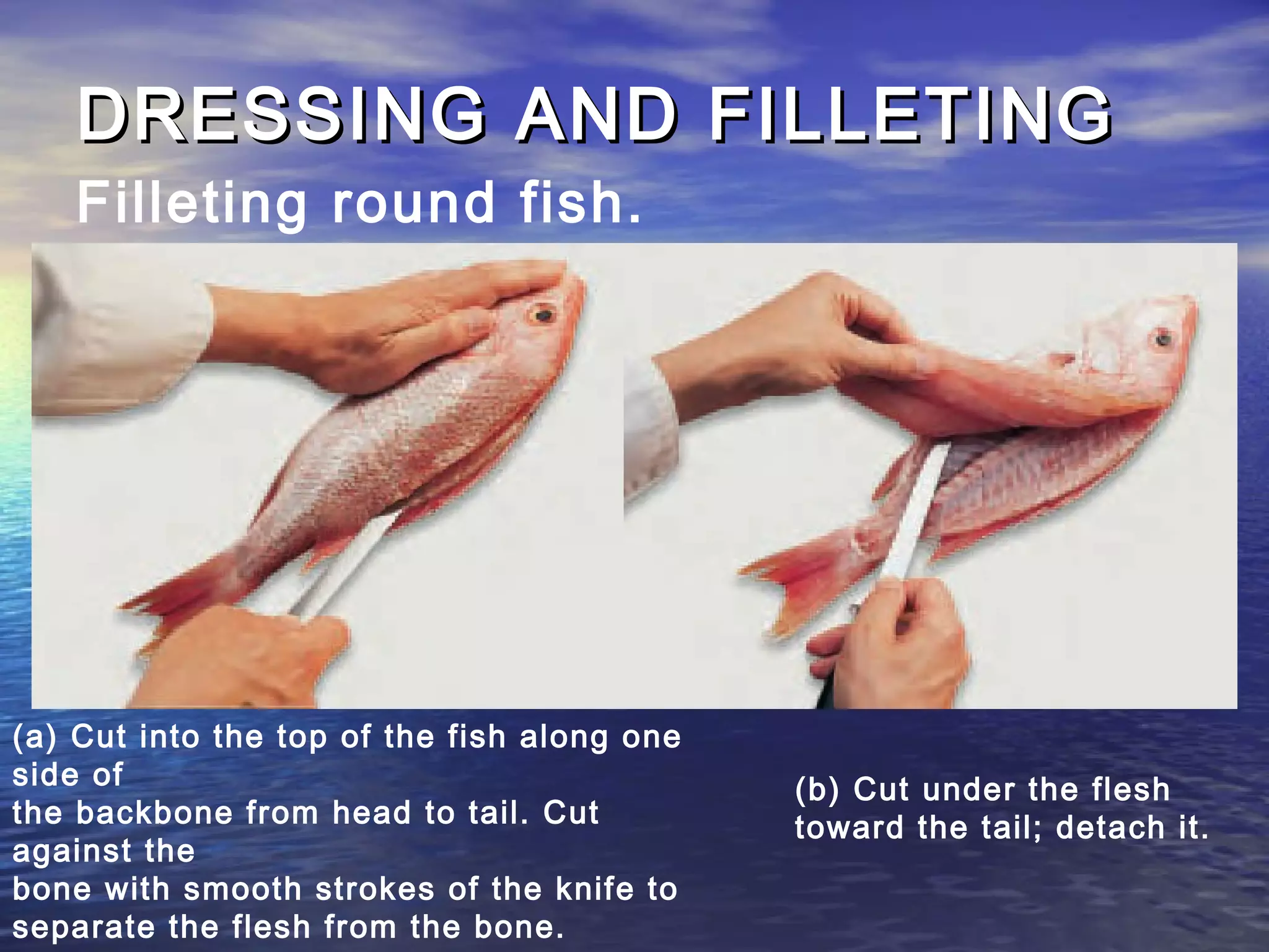 Fish and shellfish | PPT