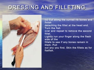 DRESSING AND FILLETINGDRESSING AND FILLETING
(c) Cut along the curved rib bones and
finish
detaching the fillet at the head end.
Turn the fish
over and repeat to remove the second
fillet.
Lightly run your finger along the flesh
side of the
fillets to see if any bones remain in
them. Pull
out any you find. Skin the fillets as for
flatfish.
 