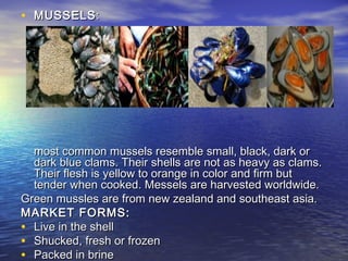 • MUSSELSMUSSELS::
most common mussels resemble small, black, dark ormost common mussels resemble small, black, dark or
dark blue clams. Their shells are not as heavy as clams.dark blue clams. Their shells are not as heavy as clams.
Their flesh is yellow to orange in color and firm butTheir flesh is yellow to orange in color and firm but
tender when cooked. Messels are harvested worldwide.tender when cooked. Messels are harvested worldwide.
Green mussles are from new zealand and southeast asia.Green mussles are from new zealand and southeast asia.
MARKET FORMS:MARKET FORMS:
• Live in the shellLive in the shell
• Shucked, fresh or frozenShucked, fresh or frozen
• Packed in brinePacked in brine
 