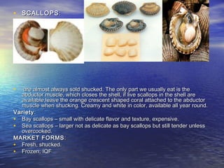 • SCALLOPSSCALLOPS::
• are almost always sold shucked. The only part we usually eat is theare almost always sold shucked. The only part we usually eat is the
abductor muscle, which closes the shell, if live scallops in the shell areabductor muscle, which closes the shell, if live scallops in the shell are
available,leave the orange crescent shaped coral attached to the abductoravailable,leave the orange crescent shaped coral attached to the abductor
muscle when shucking. Creamy and white in color, available all year round.muscle when shucking. Creamy and white in color, available all year round.
VarietyVariety::
• Bay scallops – small with delicate flavor and texture, expensive.Bay scallops – small with delicate flavor and texture, expensive.
• Sea scallops – larger not as delicate as bay scallops but still tender unlessSea scallops – larger not as delicate as bay scallops but still tender unless
overcooked.overcooked.
MARKET FORMSMARKET FORMS ::
• Fresh, shucked.Fresh, shucked.
• Frozen; IQFFrozen; IQF
 