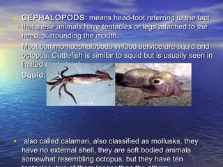 • CEPHALOPODSCEPHALOPODS: means head-foot referring to the fact: means head-foot referring to the fact
that these animals have tentacles or legs attached to thethat these animals have tentacles or legs attached to the
head, surrounding the mouth.head, surrounding the mouth.
• Most common cephalopods in food service are squid andMost common cephalopods in food service are squid and
octopus. Cuttlefish is similar to squid but is usually seen inoctopus. Cuttlefish is similar to squid but is usually seen in
limited market only.limited market only.
• Squid:Squid:
• also called calamari, also classified as mollusks, theyalso called calamari, also classified as mollusks, they
have no external shell, they are soft bodied animalshave no external shell, they are soft bodied animals
somewhat resembling octopus, but they have tensomewhat resembling octopus, but they have ten
 
