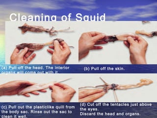 Cleaning of Squid
(a) Pull off the head. The interior
organs will come out with it.
(b) Pull off the skin.
(c) Pull out the plasticlike quill from
the body sac. Rinse out the sac to
clean it well.
(d) Cut off the tentacles just above
the eyes.
Discard the head and organs.
 