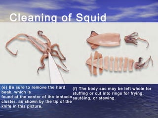Cleaning of Squid
(e) Be sure to remove the hard
beak, which is
found at the center of the tentacle
cluster, as shown by the tip of the
knife in this picture.
(f) The body sac may be left whole for
stuffing or cut into rings for frying,
sautéing, or stewing.
 