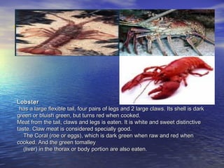 • LOBSTER:LOBSTER:
LobsterLobster
has a large flexible tail, four pairs of legs and 2 large claws. Its shell is darkhas a large flexible tail, four pairs of legs and 2 large claws. Its shell is dark
green or bluish green, but turns red when cooked.green or bluish green, but turns red when cooked.
Meat from the tail, claws and legs is eaten. It is white and sweet distinctiveMeat from the tail, claws and legs is eaten. It is white and sweet distinctive
taste. Claw meat is considered specially good.taste. Claw meat is considered specially good.
The Coral (roe or eggs), which is dark green when raw and red whenThe Coral (roe or eggs), which is dark green when raw and red when
cooked. And the green tomalleycooked. And the green tomalley
(liver) in the thorax or body portion are also eaten.(liver) in the thorax or body portion are also eaten.
 