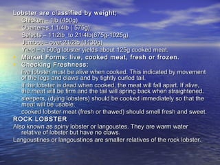 Lobster are classified by weight;Lobster are classified by weight;
Chicken – 1lb (450g)Chicken – 1lb (450g)
Quarteres 1 1/4lb ( 575g)Quarteres 1 1/4lb ( 575g)
Selects – 11/2lb to 21/4lb(675g-1025g)Selects – 11/2lb to 21/4lb(675g-1025g)
Jumbos – over 21/2lb (1130g)Jumbos – over 21/2lb (1130g)
Yield – a 500g lobster yields about 125g cooked meat.Yield – a 500g lobster yields about 125g cooked meat.
• Market Forms: live, cooked meat, fresh or frozen.Market Forms: live, cooked meat, fresh or frozen.
• Checking Freshness:Checking Freshness:
live lobster must be alive when cooked. This indicated by movementlive lobster must be alive when cooked. This indicated by movement
of the legs and claws and by tightly curled tail.of the legs and claws and by tightly curled tail.
If the lobster is dead when cooked, the meat will fall apart. If alive,If the lobster is dead when cooked, the meat will fall apart. If alive,
the meat will be firm and the tail will spring back when straightened.the meat will be firm and the tail will spring back when straightened.
sleepers, (dying lobsters) should be cooked immediately so that thesleepers, (dying lobsters) should be cooked immediately so that the
meat will be usable.meat will be usable.
cooked lobster meat (fresh or thawed) should smell fresh and sweet.cooked lobster meat (fresh or thawed) should smell fresh and sweet.
ROCK LOBSTERROCK LOBSTER
Also known as spiny lobster or langoustes. They are warm waterAlso known as spiny lobster or langoustes. They are warm water
relative of lobster but have no claws.relative of lobster but have no claws.
Langoustines or langoustinos are smaller relatives of the rock lobster.Langoustines or langoustinos are smaller relatives of the rock lobster.
 