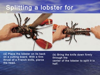 Splitting a lobster for
broiling.
(a) Place the lobster on its back
on a cutting board. With a firm
thrust of a French knife, pierce
the head.
(b) Bring the knife down firmly
through the
center of the lobster to split it in
half.
 
