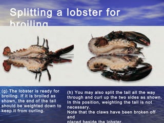 Splitting a lobster for
broiling
(g) The lobster is ready for
broiling. If it is broiled as
shown, the end of the tail
should be weighted down to
keep it from curling.
(h) You may also split the tail all the way
through and curl up the two sides as shown.
In this position, weighting the tail is not
necessary.
Note that the claws have been broken off
and
 