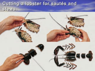Cutting a lobster for sautés andCutting a lobster for sautés and
stews.stews.
 
