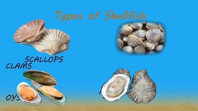 Fish And Shellfish