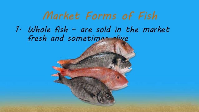 Fish and shellfish