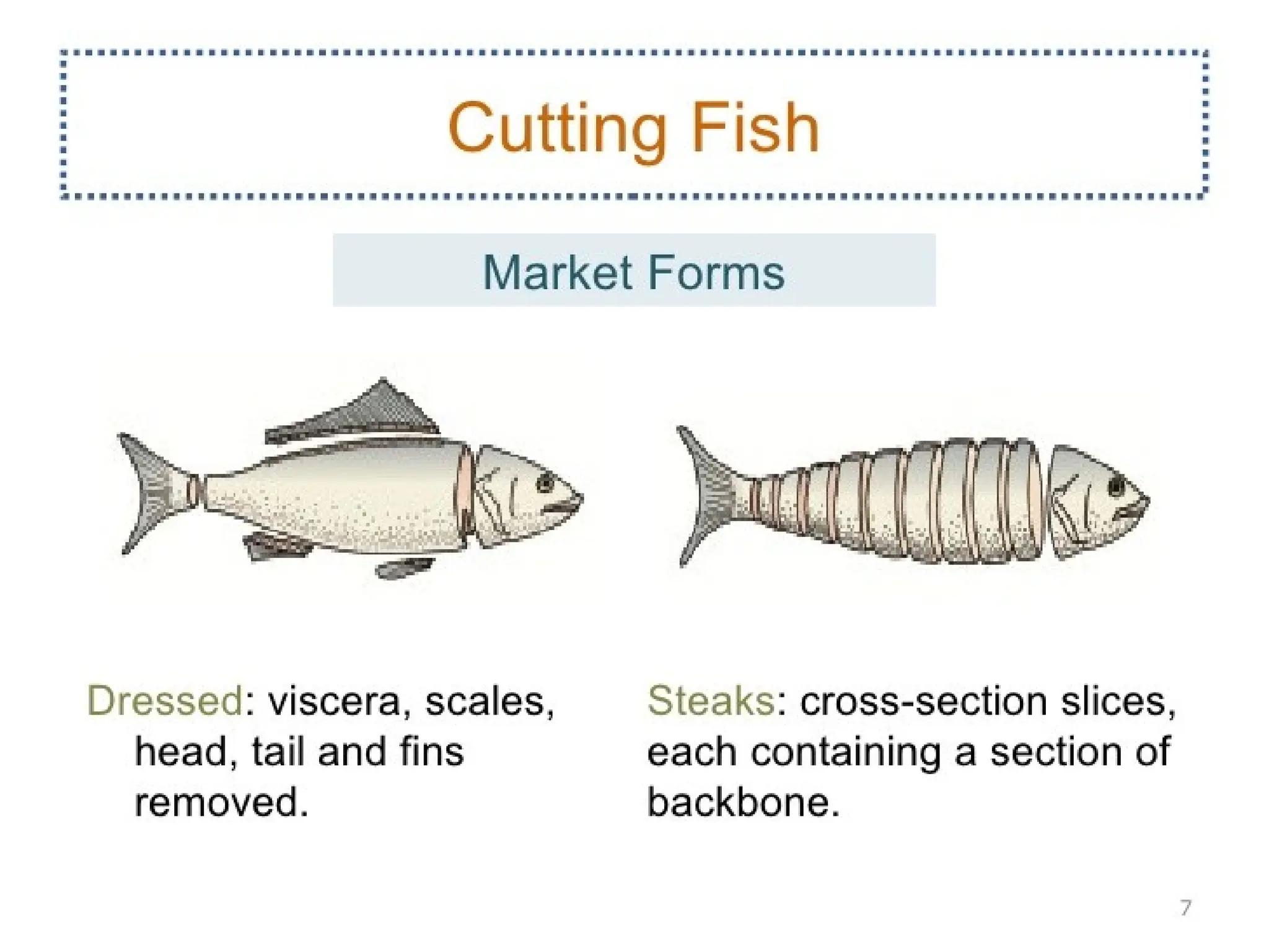 understanding the importance of FISH AND SHELLFISH.ppt