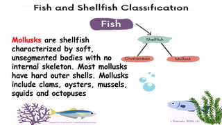 Mollusks are shellfish
characterized by soft,
unsegmented bodies with no
internal skeleton. Most mollusks
have hard outer shells. Mollusks
include clams, oysters, mussels,
squids and octopuses
 