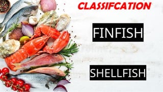 FINFISH
SHELLFISH
CLASSIFCATION
 