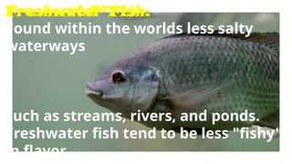 FISH
Freshwater Fish:
Found within the worlds less salty
waterways
such as streams, rivers, and ponds.
Freshwater fish tend to be less "fishy"
in flavor.
 