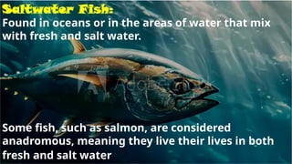 Saltwater Fish:
Found in oceans or in the areas of water that mix
with fresh and salt water.
Some fish, such as salmon, are considered
anadromous, meaning they live their lives in both
fresh and salt water.
 